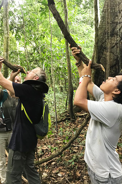 Peruvian Amazon