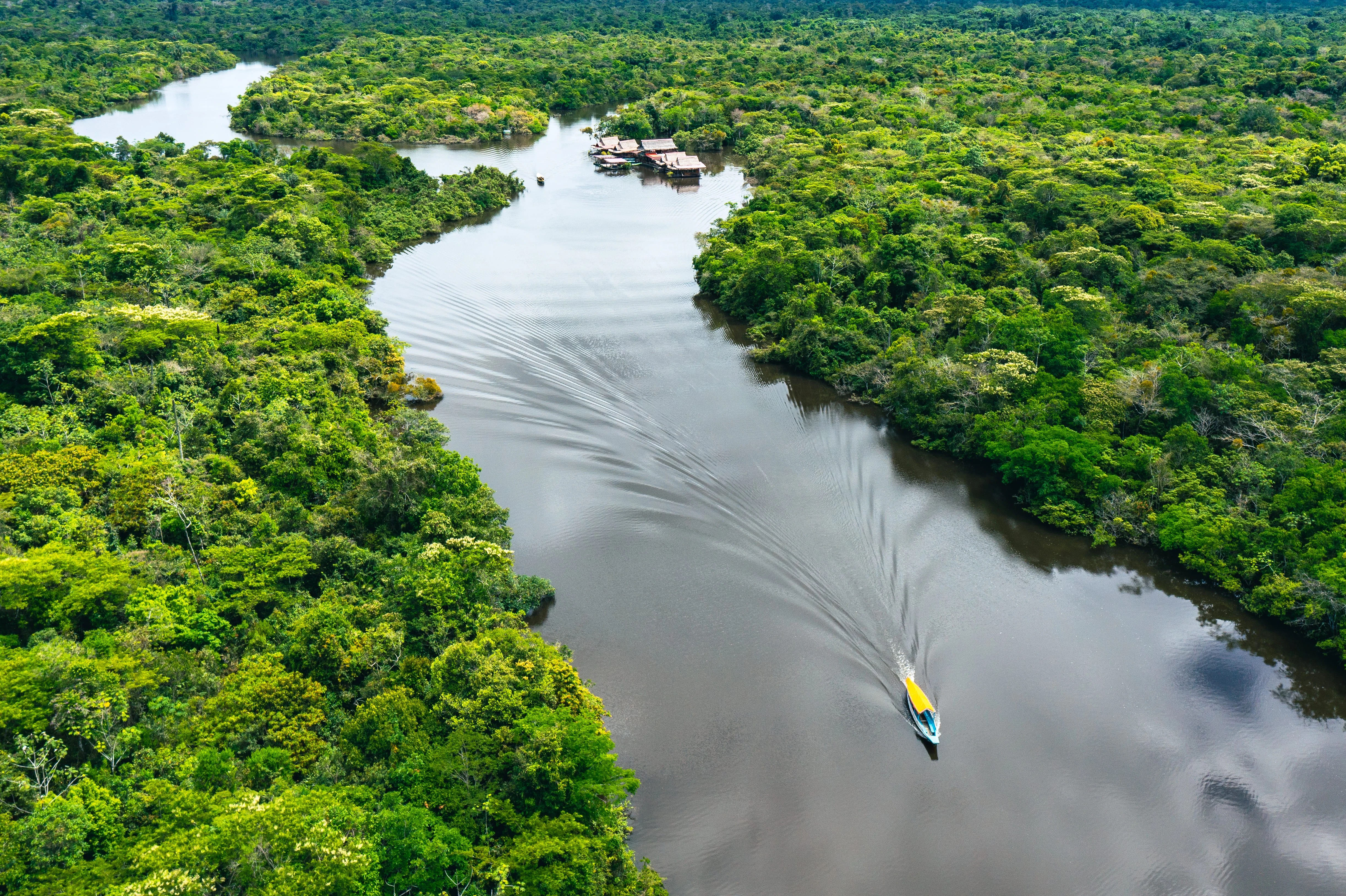 Iquitos, jungle and Amazon